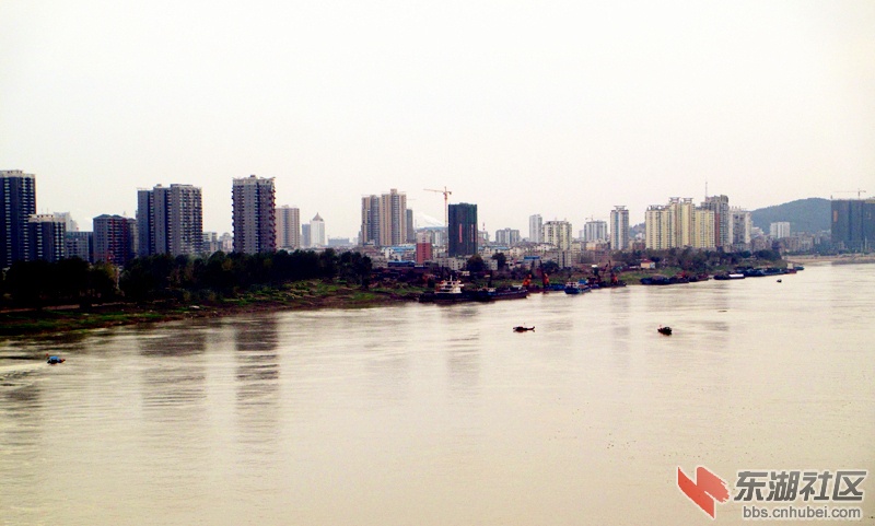 3鄂黄大桥看市区.jpg