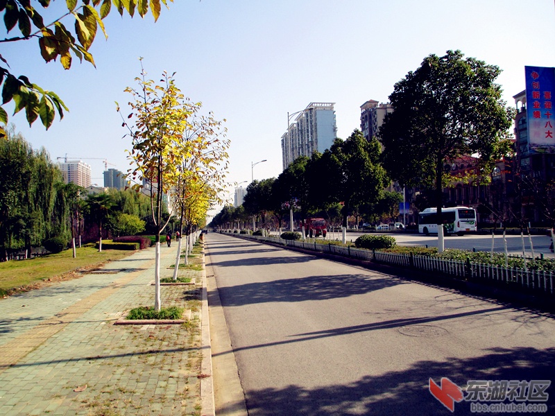 滨湖南路.jpg