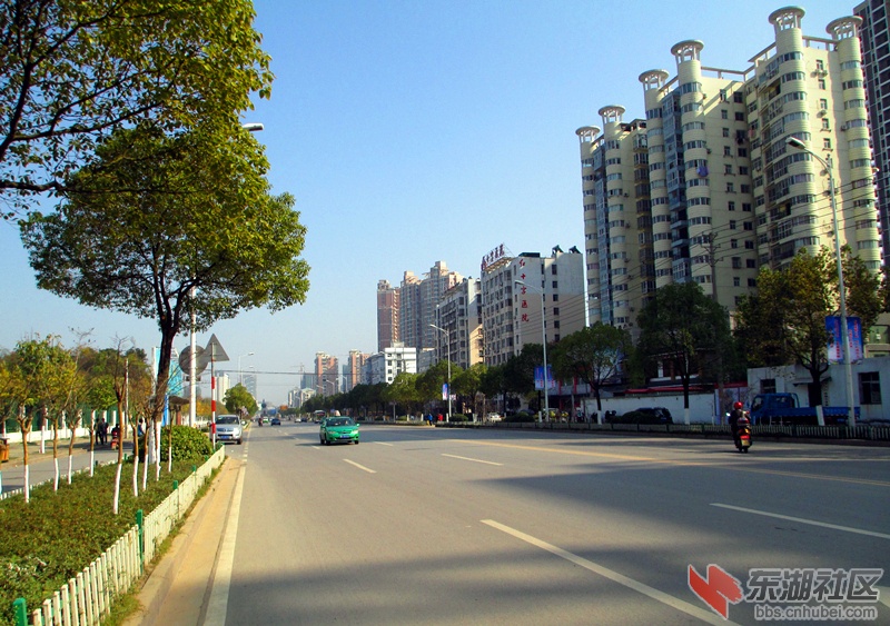 滨湖南路1.jpg