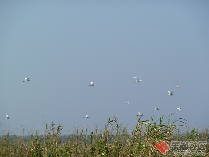 P1030521_副本.jpg