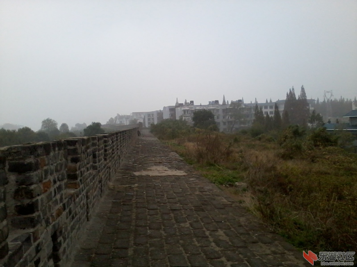 2012-11-17 10.48.06.jpg