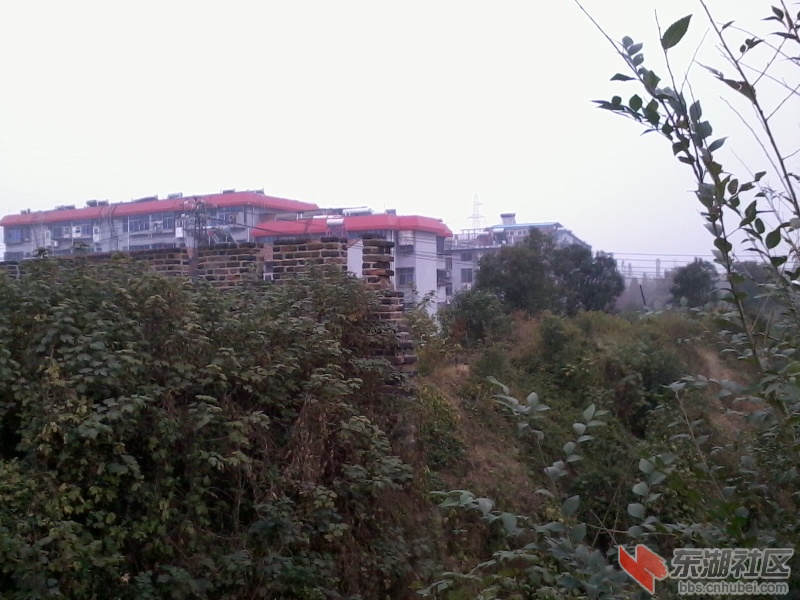 2012-11-17 10.48.28.jpg