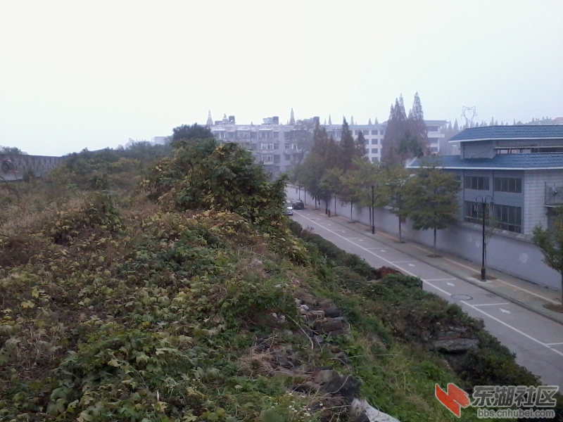 2012-11-17 10.50.14.jpg