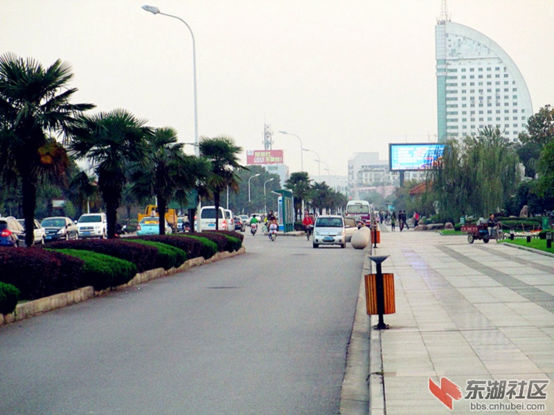 凤凰中路_副本.jpg