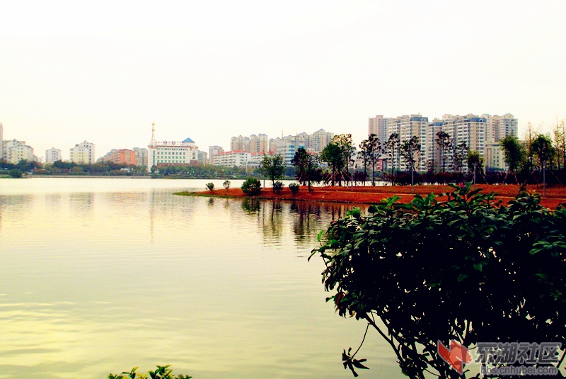 洋澜湖10.jpg