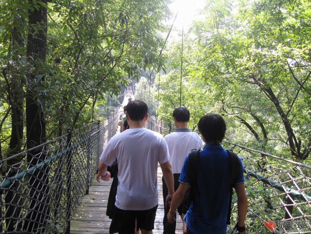调整大小 IMG_1939.JPG