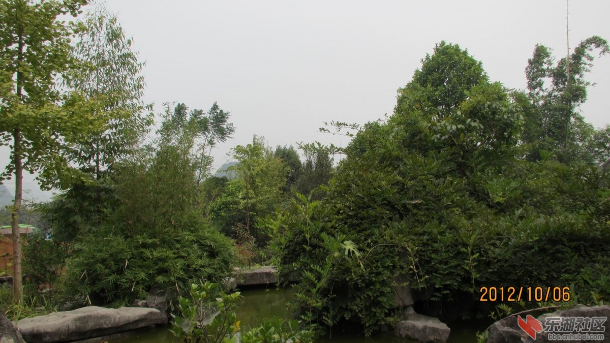 调整大小 IMG_5103.JPG