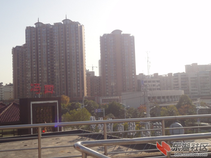 DSC08657.jpg