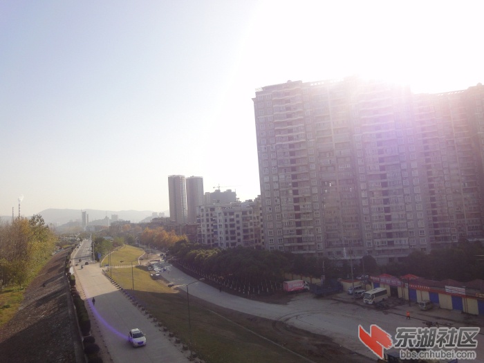 DSC08629.jpg