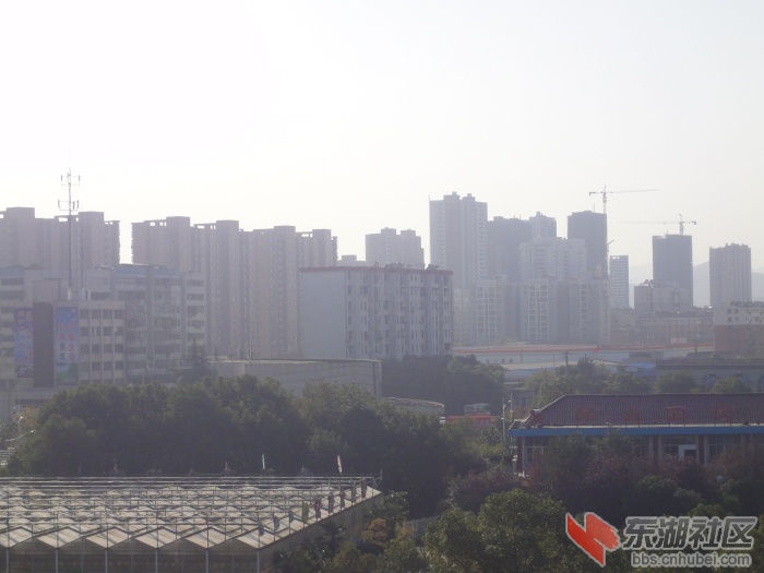 DSC08628.jpg