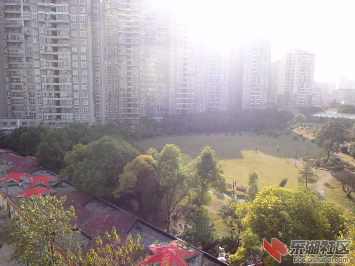 DSC08646.jpg
