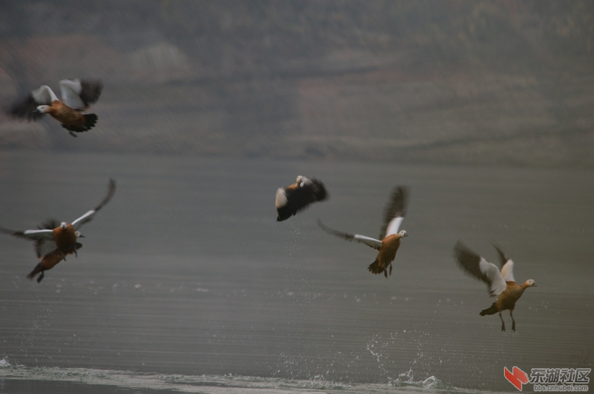 DSC_0963.JPG