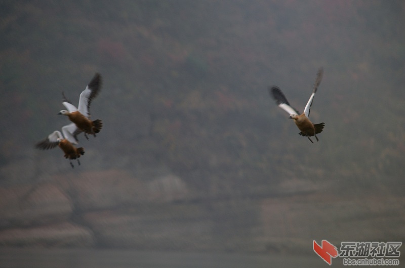 DSC_0964.JPG