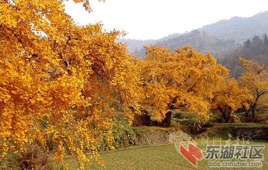 140110d0m1qaakrql4o3yd.jpg