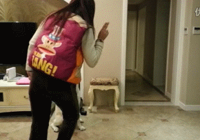 4.gif