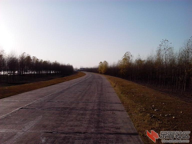 IMG_20121126_155047.JPG