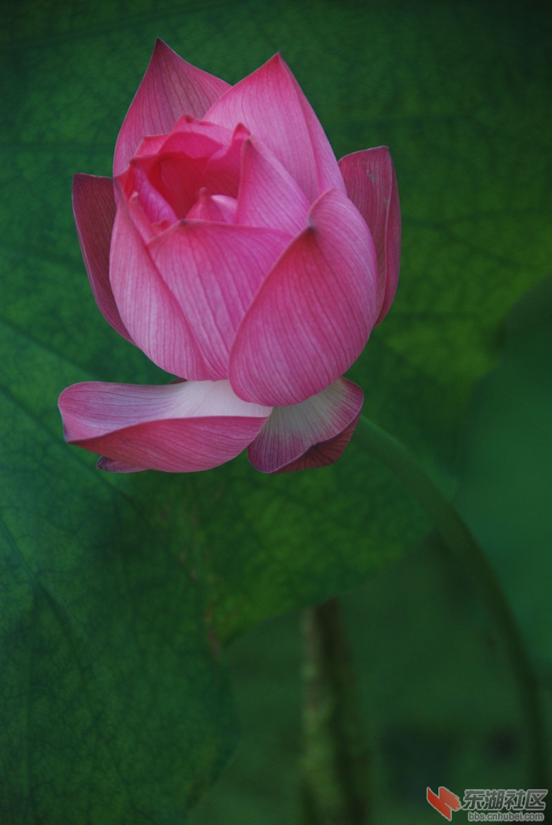 2011.7摄于中南政法大学