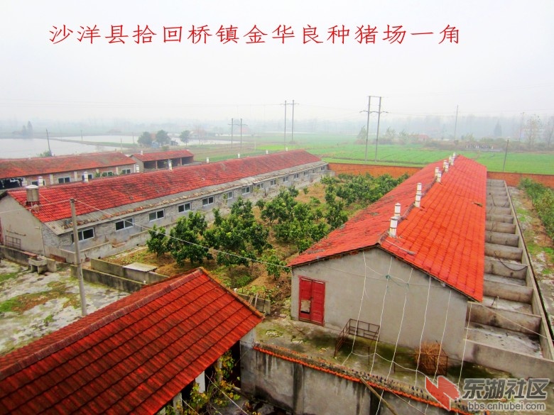 图片5.jpg