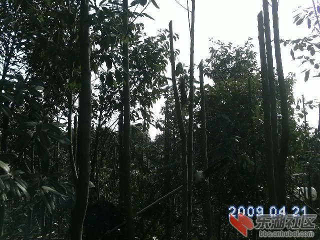 PICT0474.JPG