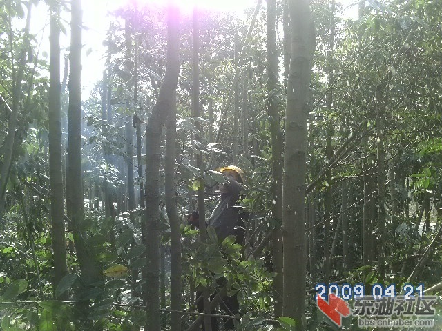 PICT0475.JPG