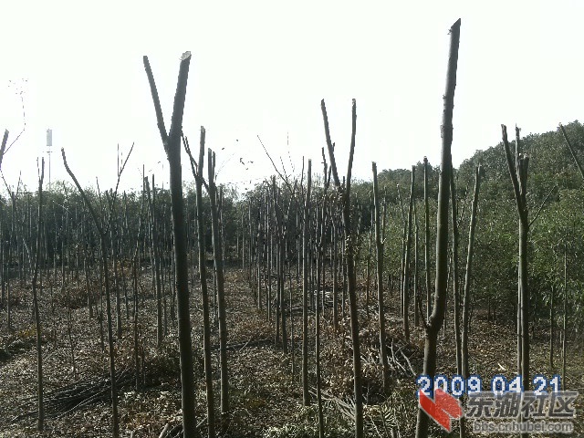 PICT0478.JPG