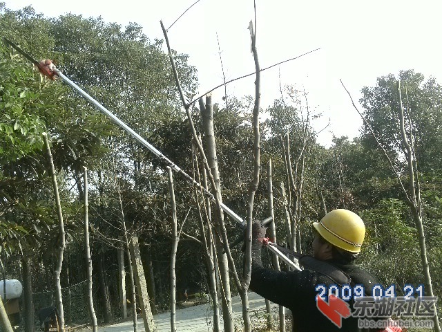 PICT0481.JPG