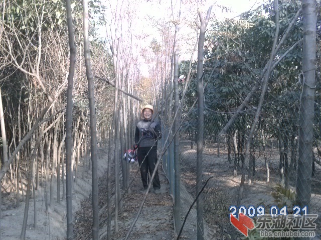 PICT0486.JPG