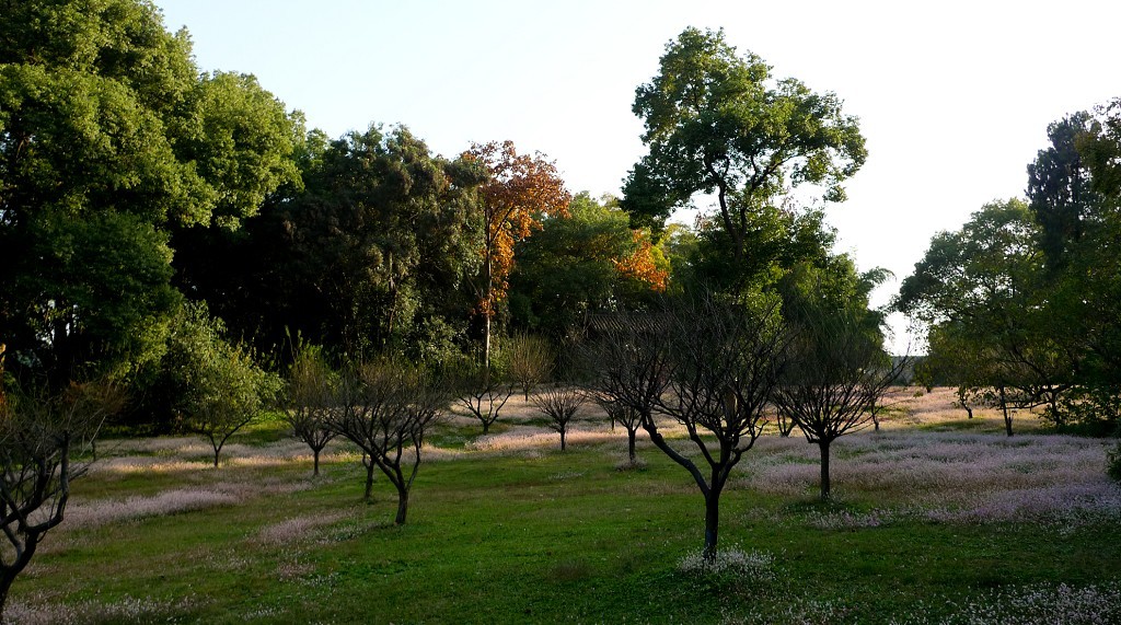 10b.jpg