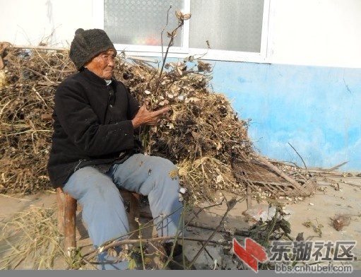 老人做活.jpg