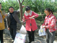 2006.jpg