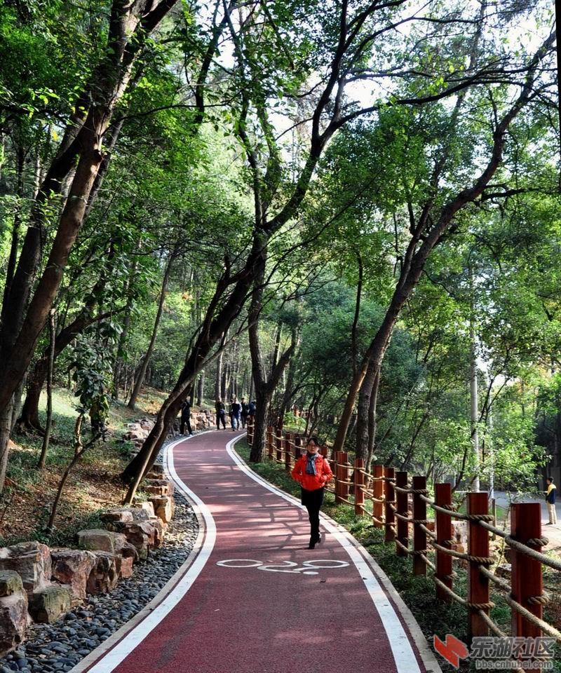 东湖绿色通道 017.jpg2.jpg