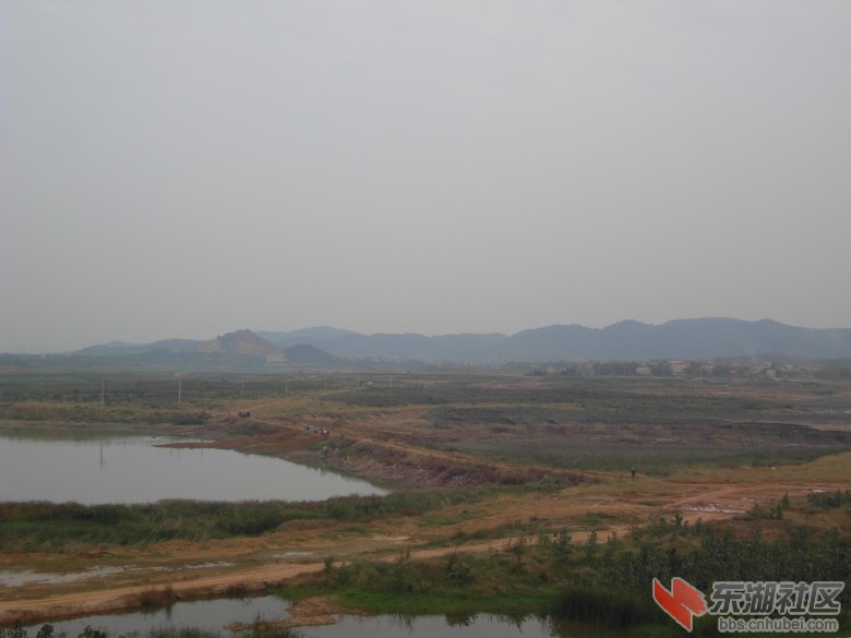 SDC15779_conew1.jpg