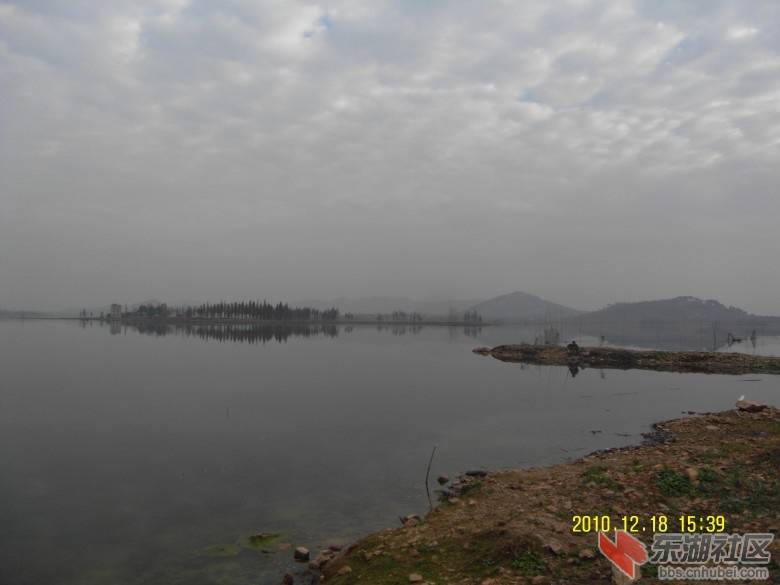 SDC12629_conew1.jpg
