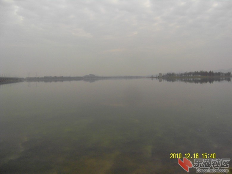 SDC12630_conew1.jpg