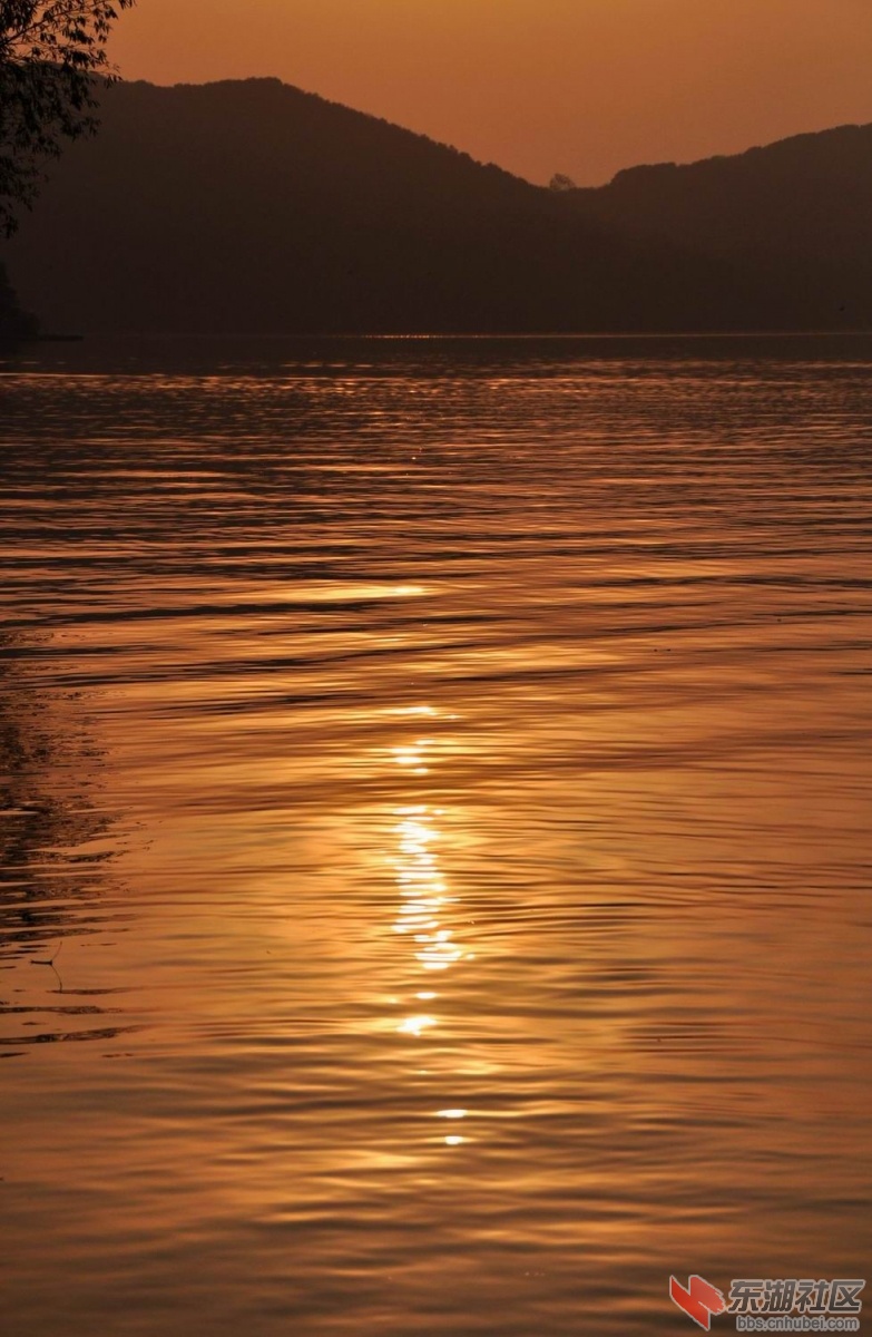 落雁岛 141.jpg1.jpg2.jpg