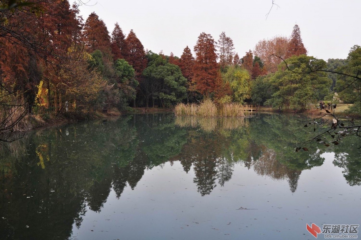 落雁岛 145.jpg1.jpg2.jpg