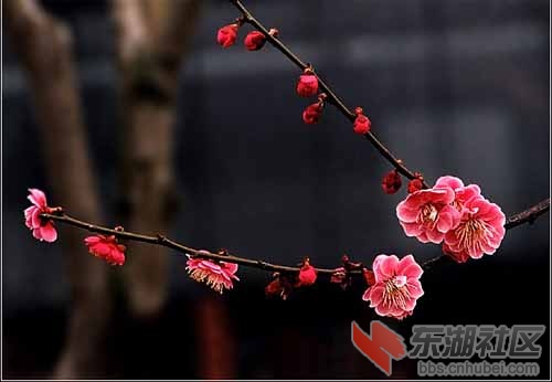 xin_8f296d9fda734baf8ad4678c6bc484e2_011801.jpg