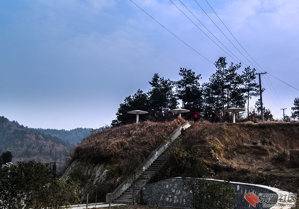 _MG_0739s.jpg
