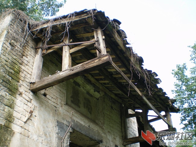 HJSB20091010A4_A31.jpg