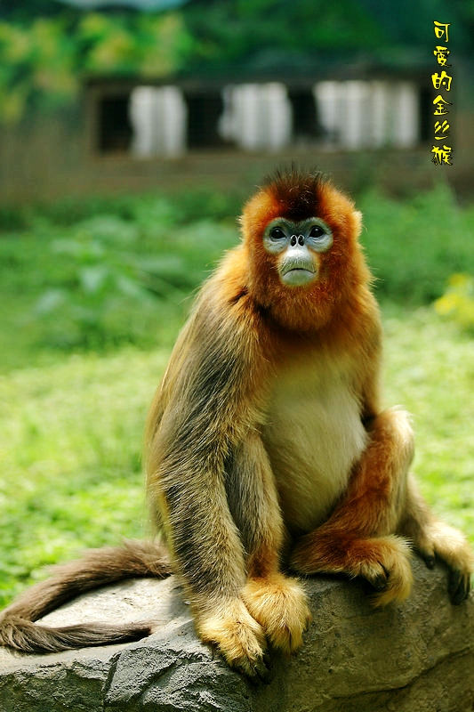 _MG_3484_1H_副本_conew1.jpg