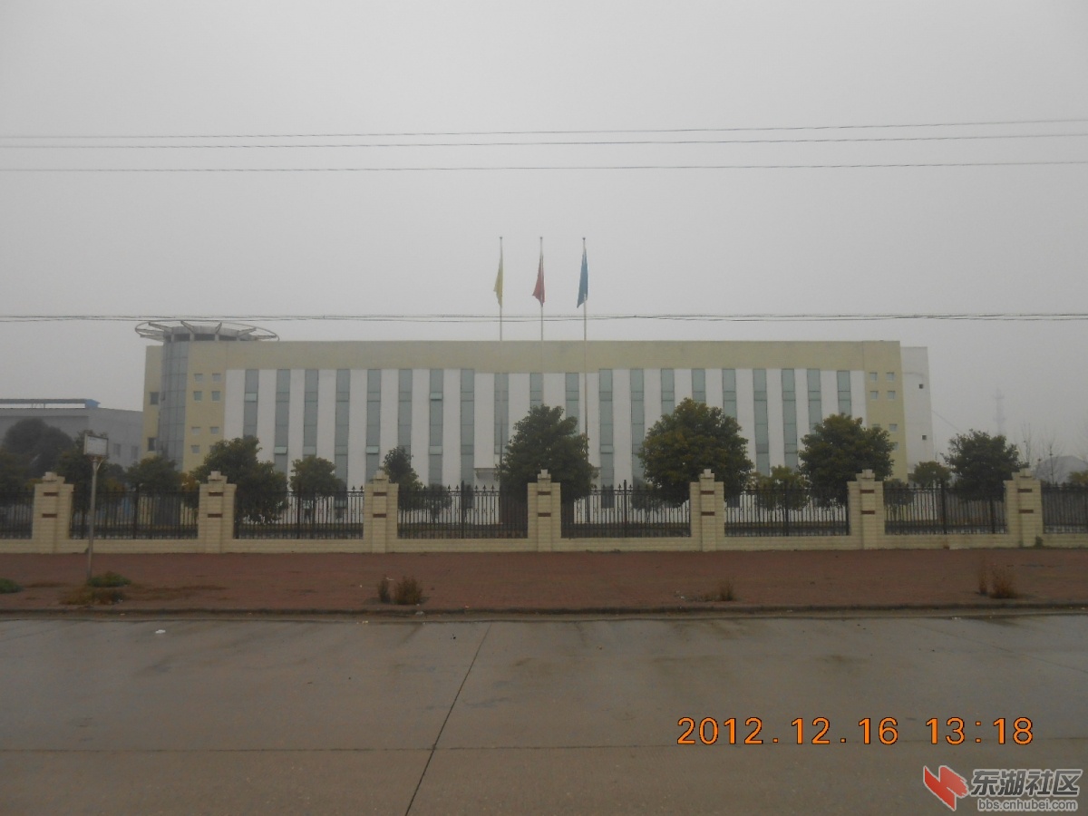 DSCN0223.jpg