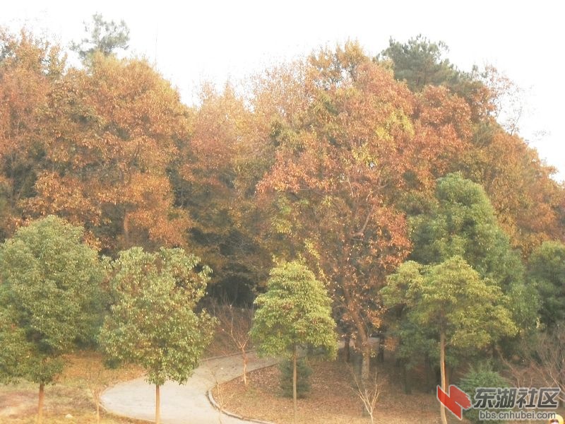 幽静山路.jpg