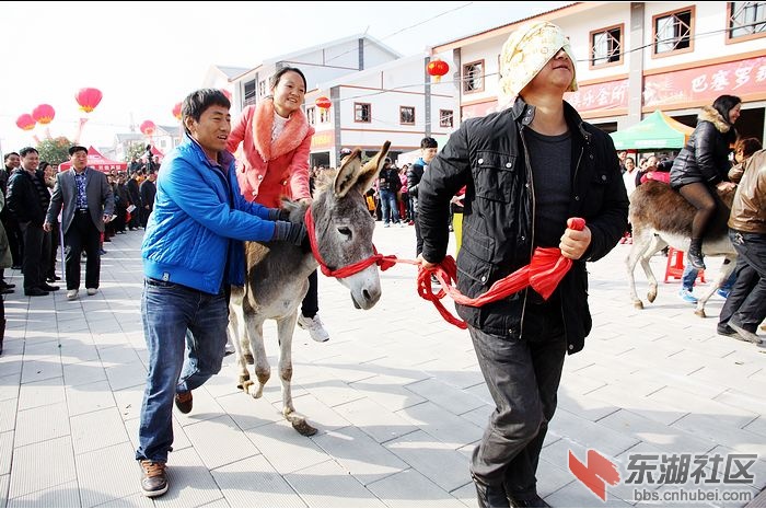 骑驴比赛.jpg