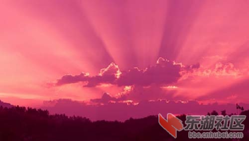 20090729102818151.jpg