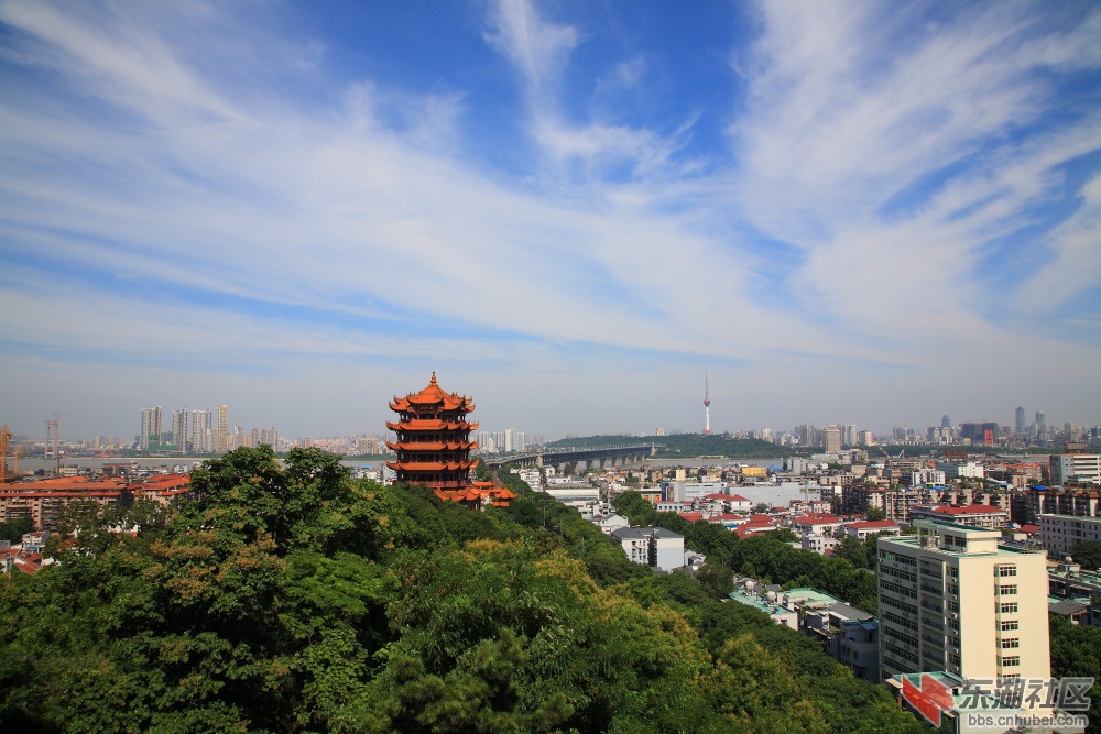 IMG_0753.JPG