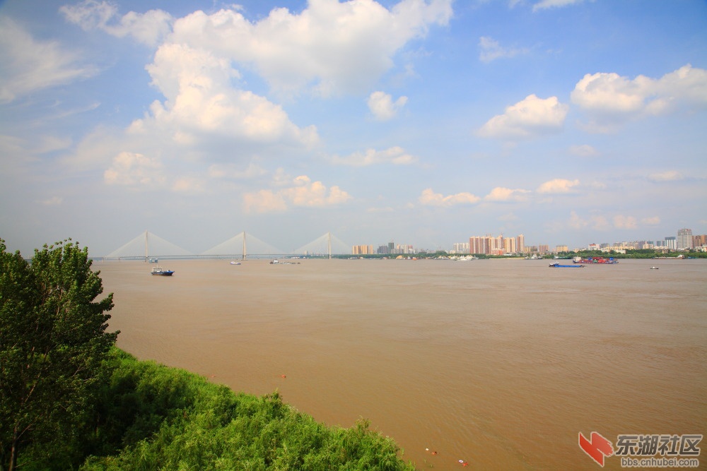 夏日江景0901.JPG