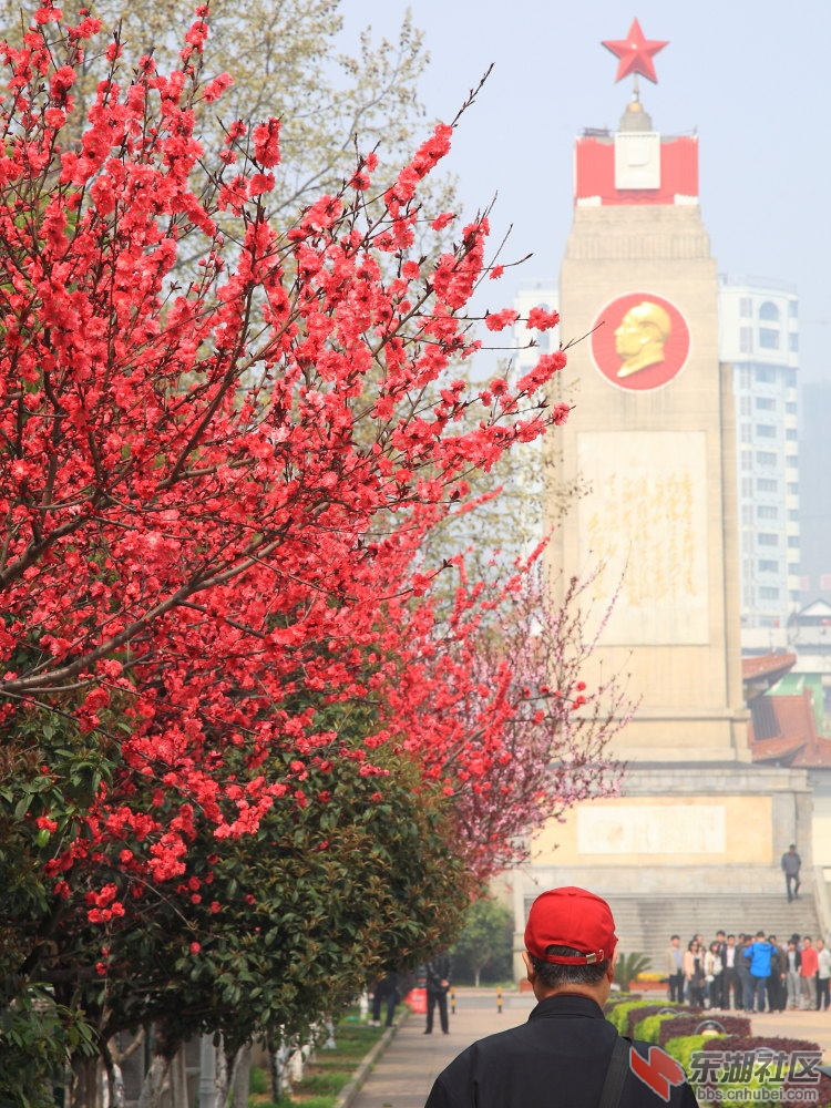 红色旋律9017.JPG