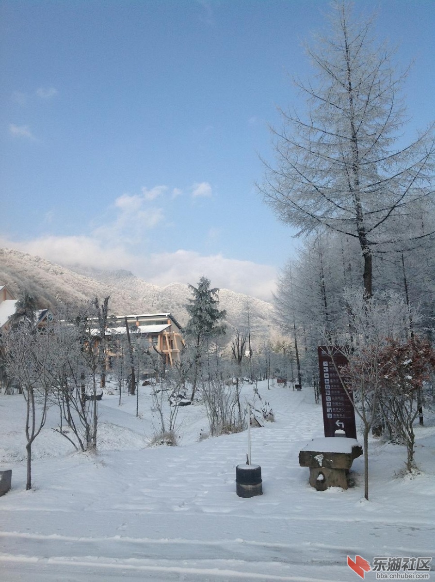 树蓝天与大山.JPG