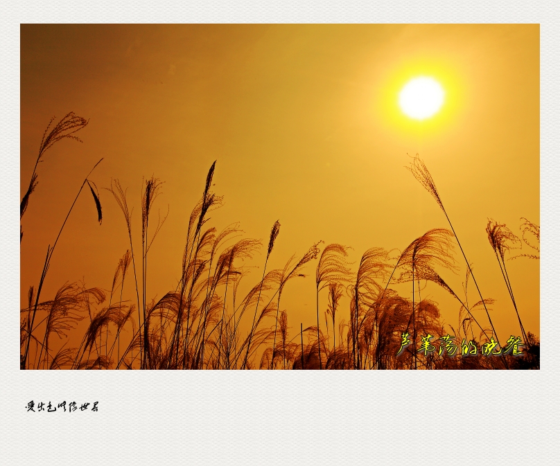 IMG_0073_conew1.jpg
