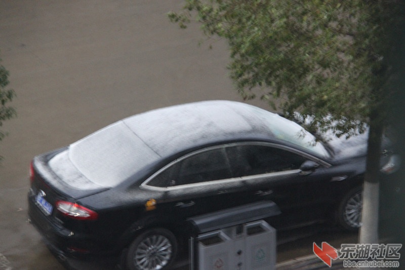 雪1.jpg